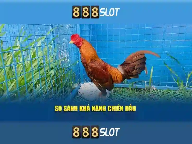 Khám phá 888slot - Cổng slot trực tuyến đáng tin cậy