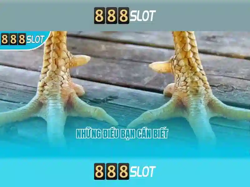 888slot – Tổng quan về sòng bài slot trực tuyến hàng đầu