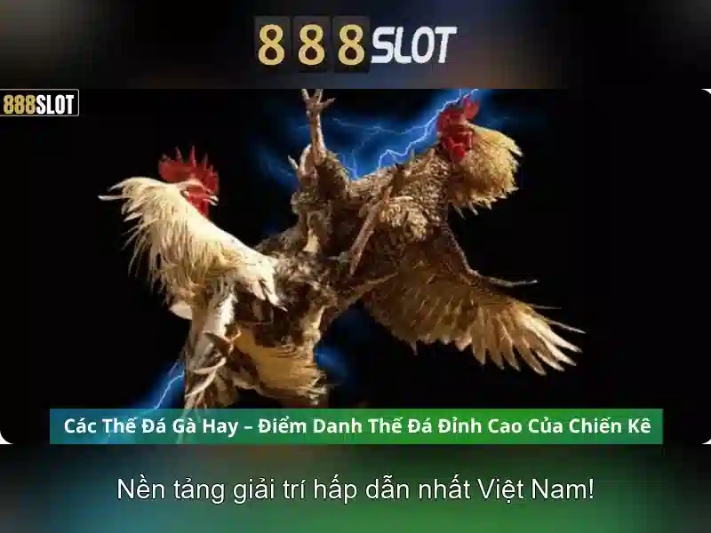 888slot: Đánh giá và trải nghiệm nền tảng slot trực tuyến