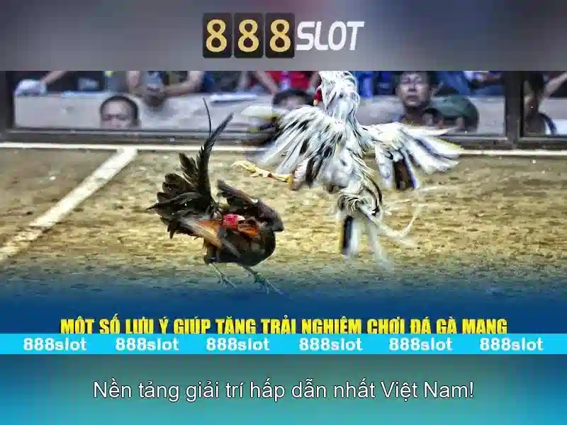 888slot – Trải nghiệm đánh bạc trực tuyến đẳng cấp